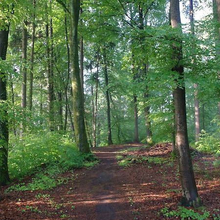 Hotel Waldgasthof Buchenhain Baierbrunn Екстер'єр фото